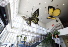 올 봄, 다시 나비가 날아오른다!노원구, 불암산 나비정원 리모델링 재개관