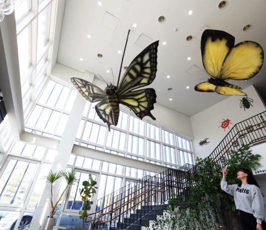 올 봄, 다시 나비가 날아오른다!노원구, 불암산 나비정원 리모델링 재개관